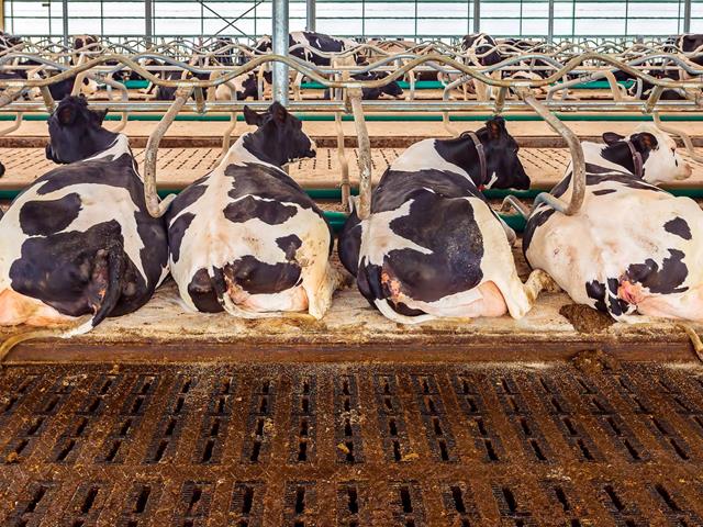 Hygiene FX - Xatico as a newcomer to the agricultural industry